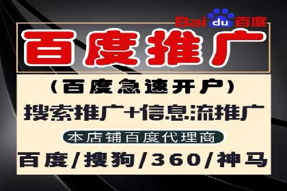 SEO与SEM实战案例：提升品牌知名度